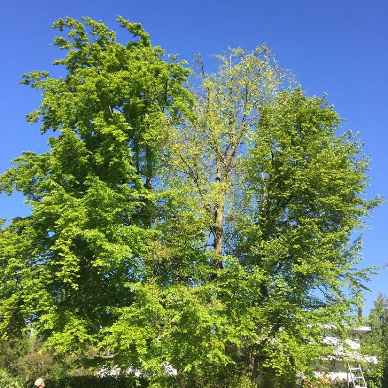 Img S1345