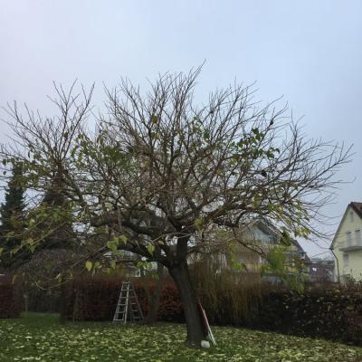 Img S1364